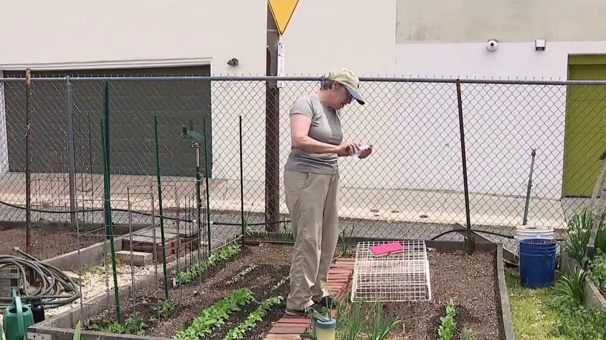 Philly workers adapt to record-breaking heat on Thursday