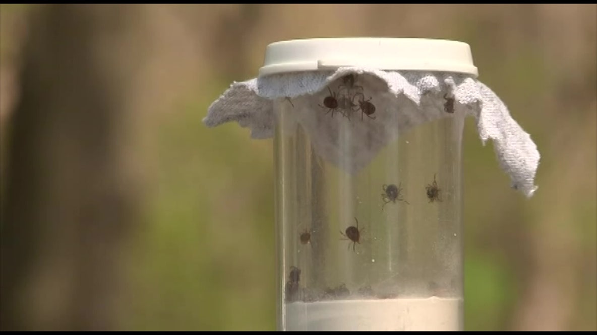 Pennsylvania tick season starts early after cold winter, CDC reports