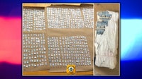 2 people walking in Delaware woods stumble upon 14,000 bags of fentanyl: police