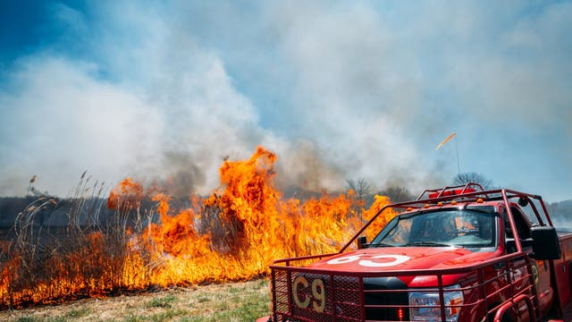 Massive wildfire burning in South Jersey grows to 50 acres, 40% contained
