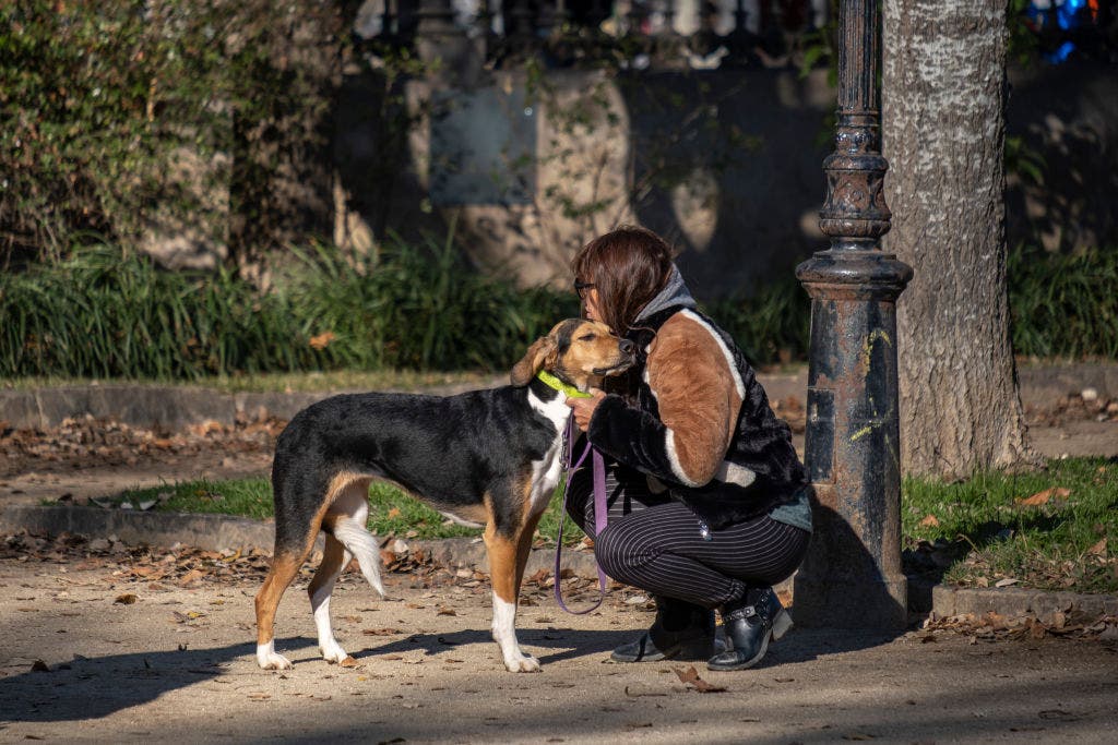 You could get $900 tax credit for owning pets in NJ: Here's how