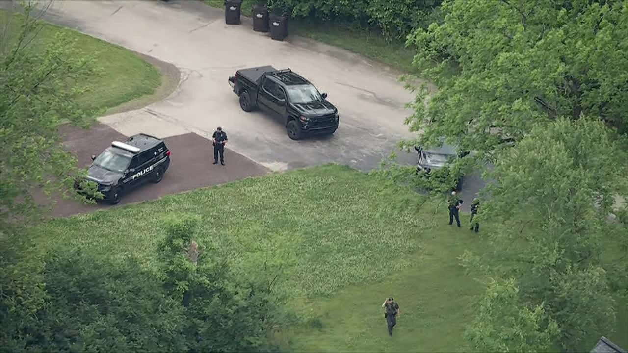 Black bear spotted in Whitpain Township: 'Be aware of your surroundings'