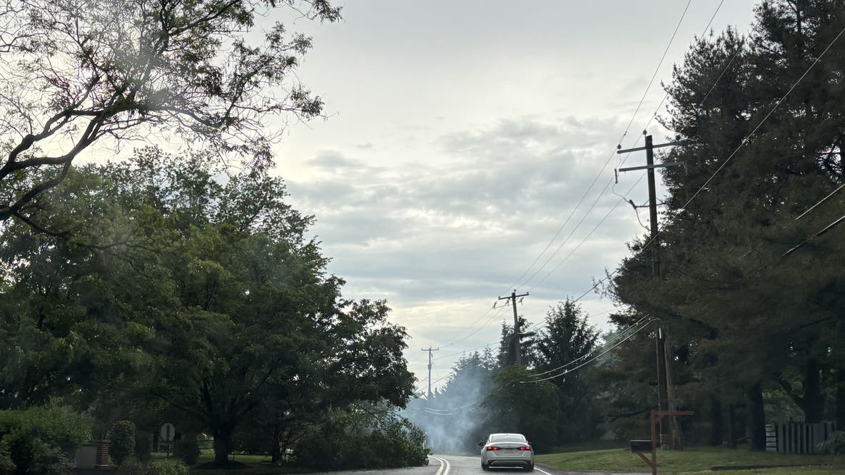 Storms bring power outages, downed trees to Bucks, Montgomery, Chester counties