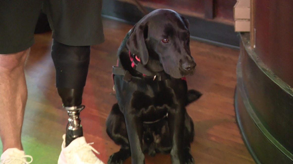 Jefferson University Hospital adds therapy dogs to support staff and students