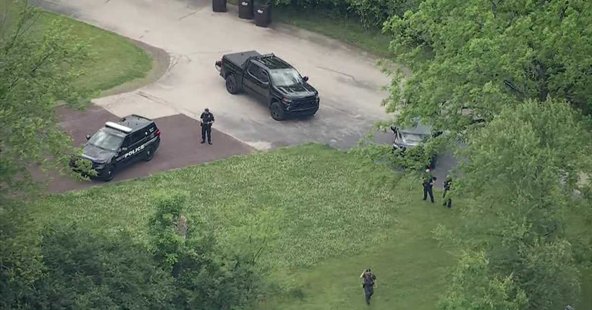 Black bear spotted in Whitpain Township captured: 'Be aware of your surroundings'