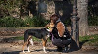 You could get $900 tax credit for owning pets in NJ: Here's how
