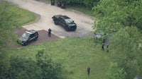 Black bear spotted in Whitpain Township captured: 'Be aware of your surroundings'