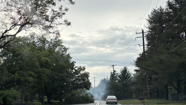 Storms bring power outages, downed trees to Bucks, Montgomery, Chester counties
