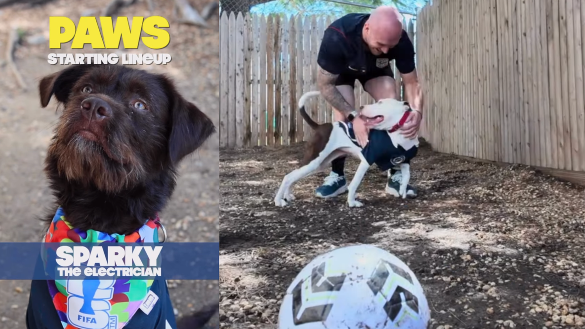 PAWS turns World Cup excitement into lifesaving push for Philadelphia’s adoptable pets