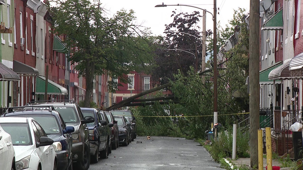 Large tree falls onto cars and houses after North Philadelphia storm