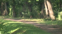 Woman sexually assaulted along Delaware canal in Bucks County: police
