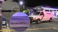 Man armed with tree branch run over by work truck after ripping off door handle: police