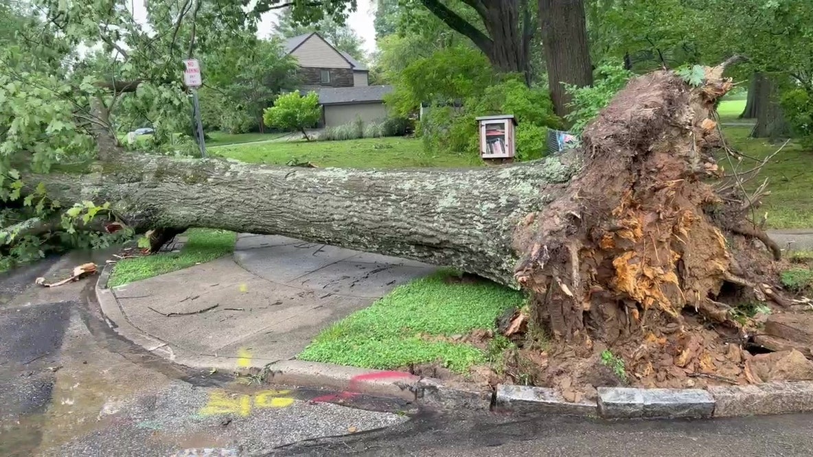 Severe thunderstorm, flash flood warnings issued for parts of Philadelphia region Saturday