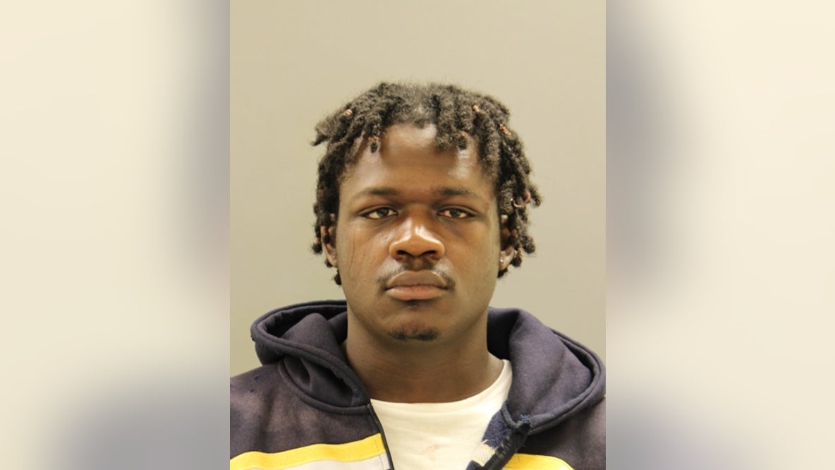 Burglary suspect grabbed K-9 officer by snout after being found hiding in Delaware home: police