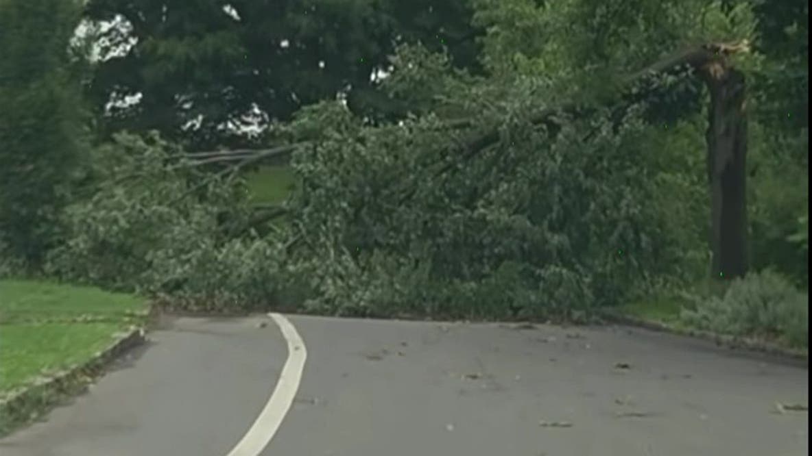 'This is pretty detrimental': FDR Park vendors seek help after storm in Philadelphia