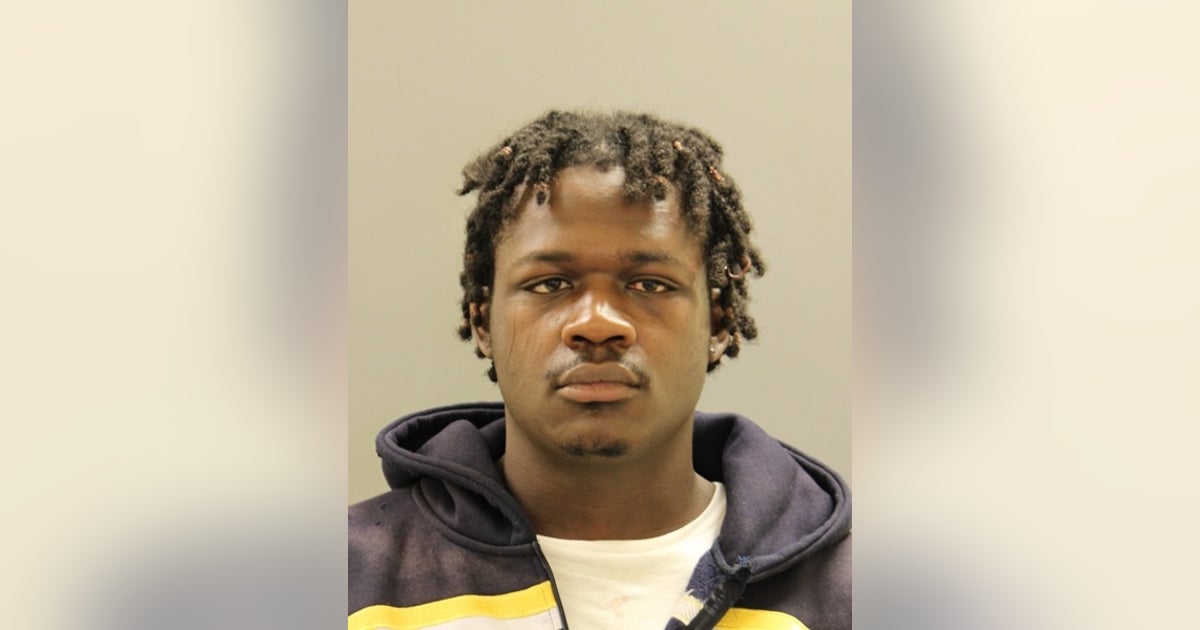 Burglary suspect grabbed K-9 officer by snout after being found hiding in Delaware home: police