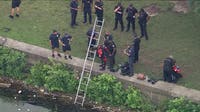Car plunges into Schuylkill River near Kelly Drive; bystanders jump in to help: police