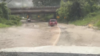 Philadelphia declares disaster emergency after microbursts tear through city