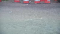 Heavy rain causes widespread flooding in Camden County