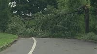 'This is pretty detrimental': FDR Park vendors seek help after storm in Philadelphia