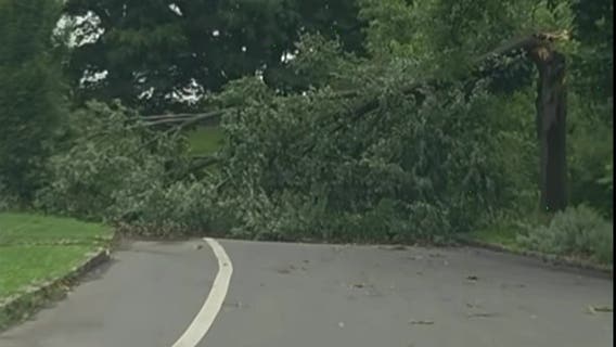 'This is pretty detrimental': FDR Park vendors seek help after storm in Philadelphia