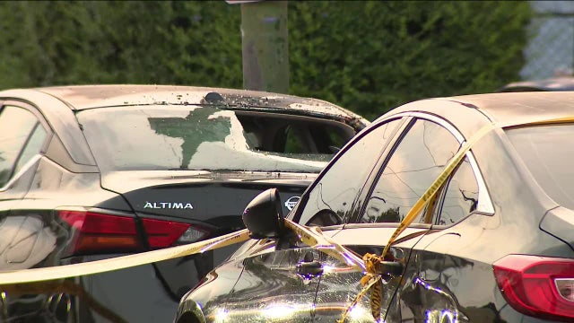 Woman fatally struck while crossing street in Southwest Philadelphia hit-and-run