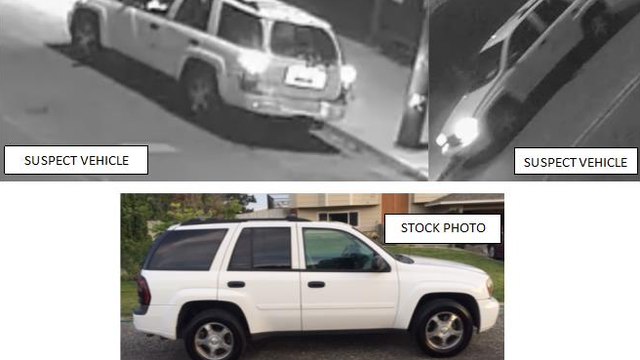 Photos released of white SUV sought in fatal Kelly Drive hit-and-run: police