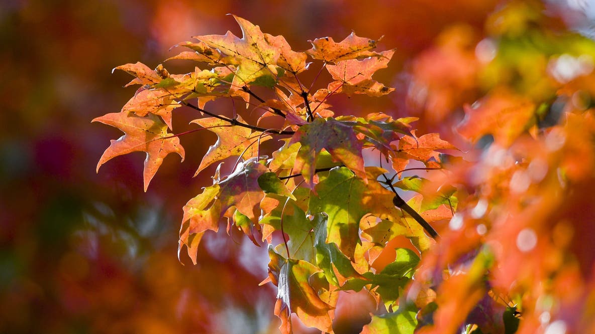 When is the first day of fall in Pennsylvania? When foliage starts to change