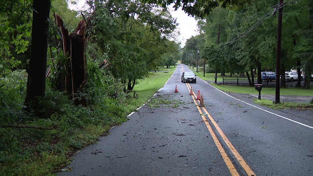 Thursday storm brings down trees, knows out power in Mullica Hill