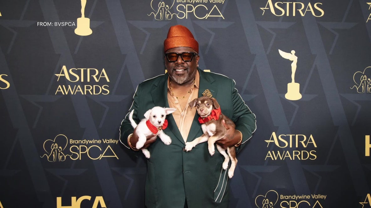 Brandywine Valley SPCA gives 60 rescue dogs red carpet moment in Los Angeles