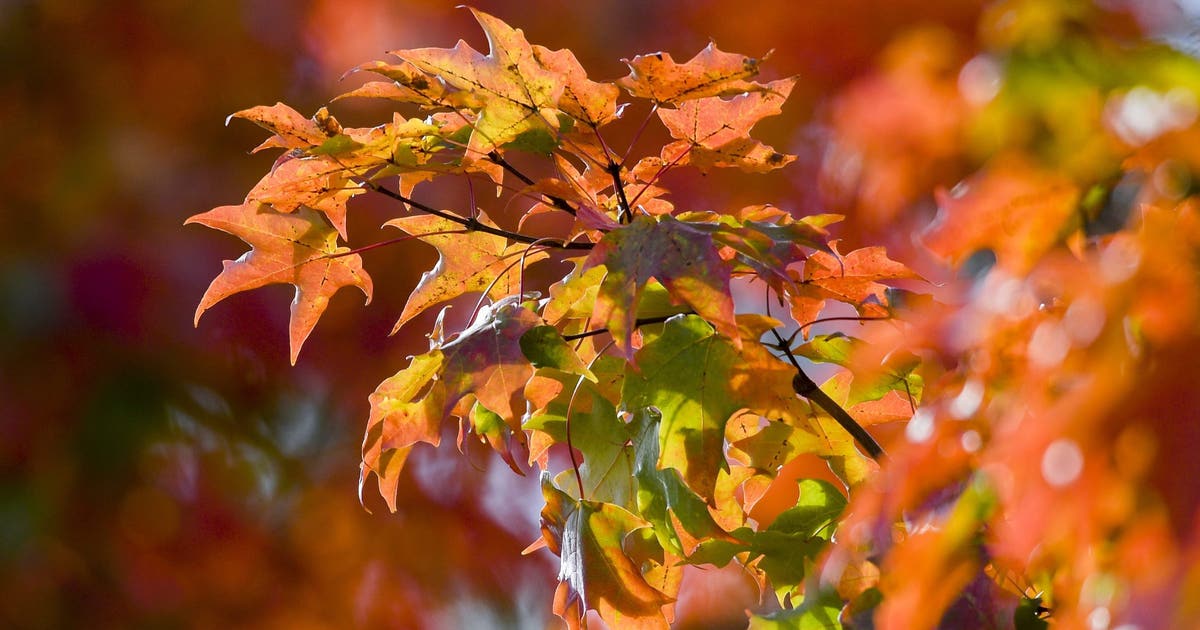 When is the first day of fall in Pennsylvania? When foliage starts to change