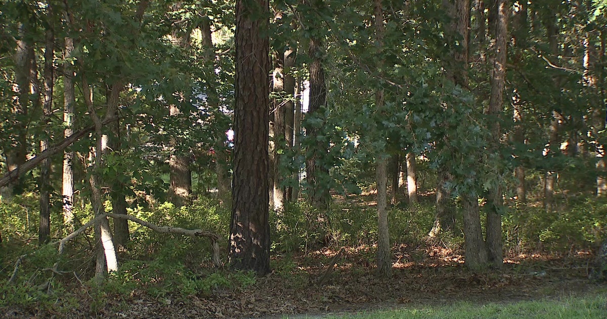 Rabid groundhog bites homeowner and cats in Atlantic County, health officials warn