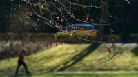 Ready for fall? When to expect cooler temperatures in Philadelphia region