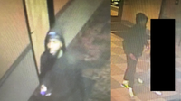 Suspect sought in Delaware movie theater robbery