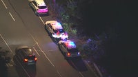Skeletal remains found in wooded area off Knights Road in Northeast Philly: police