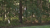 Rabid groundhog bites homeowner and cats in Atlantic County, health officials warn