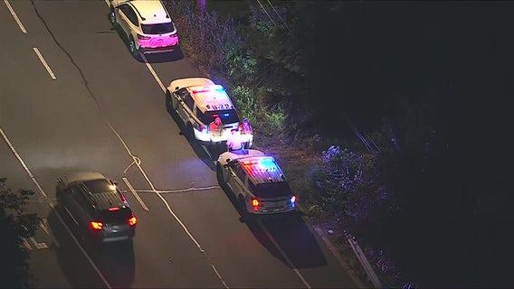 Skeletal remains found in wooded area off Knights Road in Northeast Philly: police