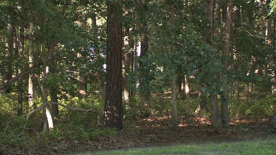 Rabid groundhog bites homeowner and cats in Atlantic County, health officials warn