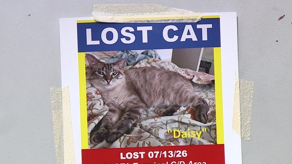 Search for missing emotional support cat continues at Philadelphia International Airport