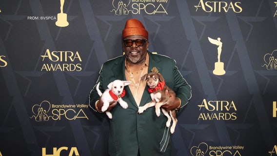Brandywine Valley SPCA gives 60 rescue dogs red carpet moment in Los Angeles