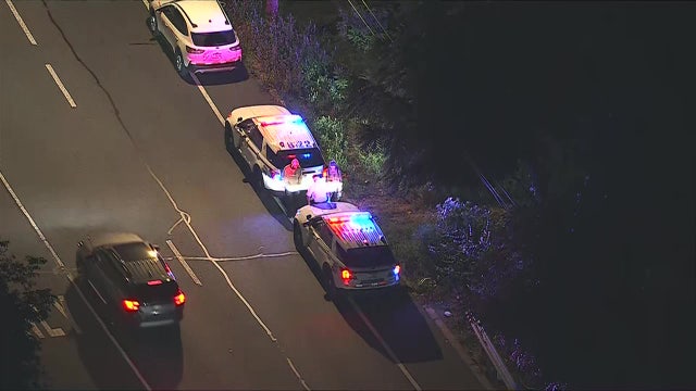 Skeletal remains found in wooded area off Knights Road in Northeast Philly: police