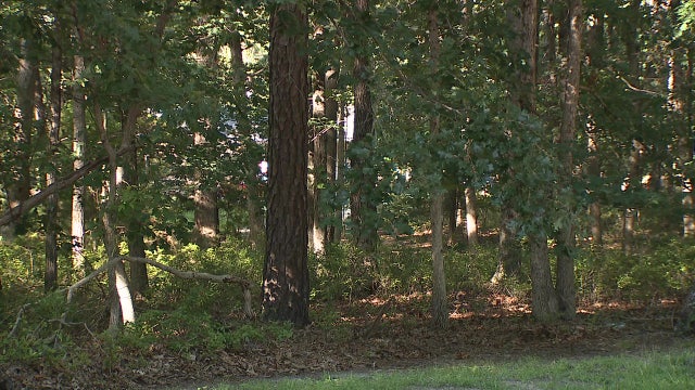 Rabid groundhog bites homeowner and cats in Atlantic County, health officials warn