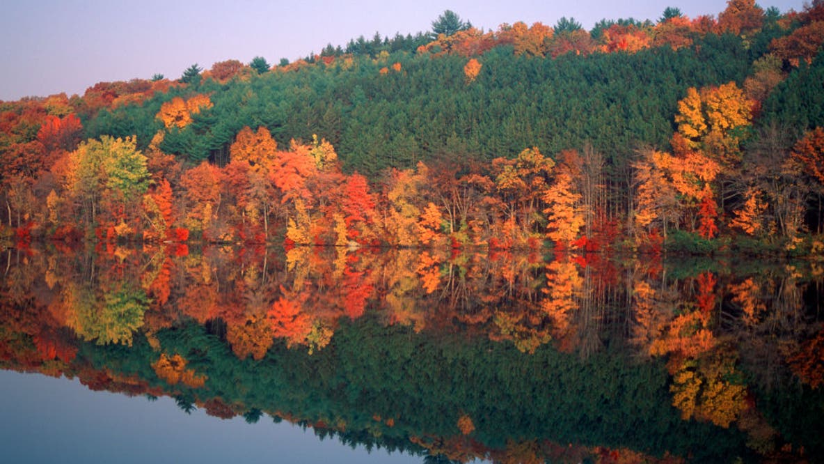 When is the best time to see peak fall colors across the Northeast?