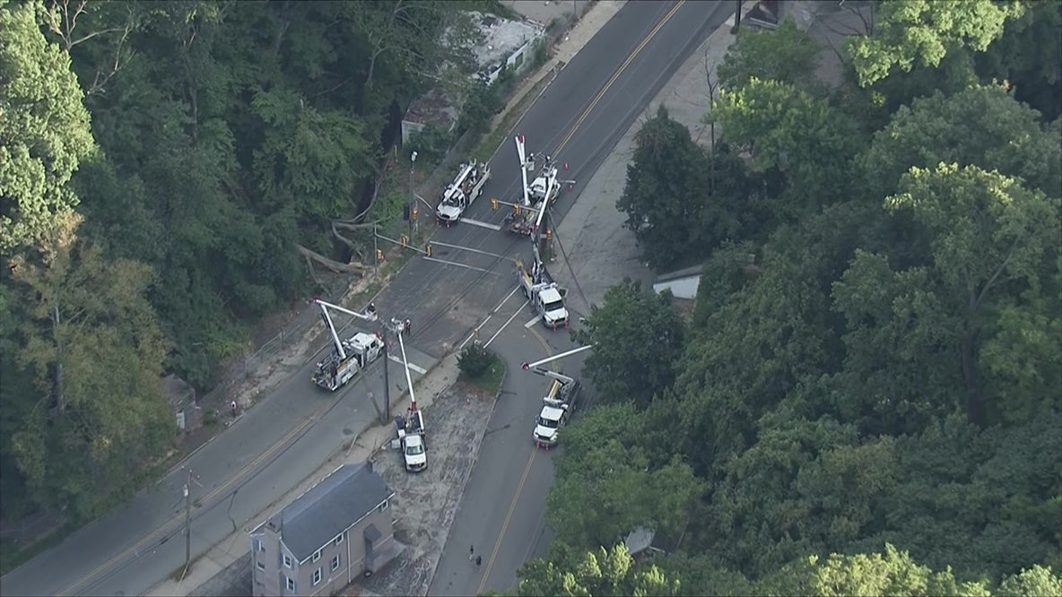 Tree falls onto cars in Bala Cynwyd leaving 1 critical, road closed