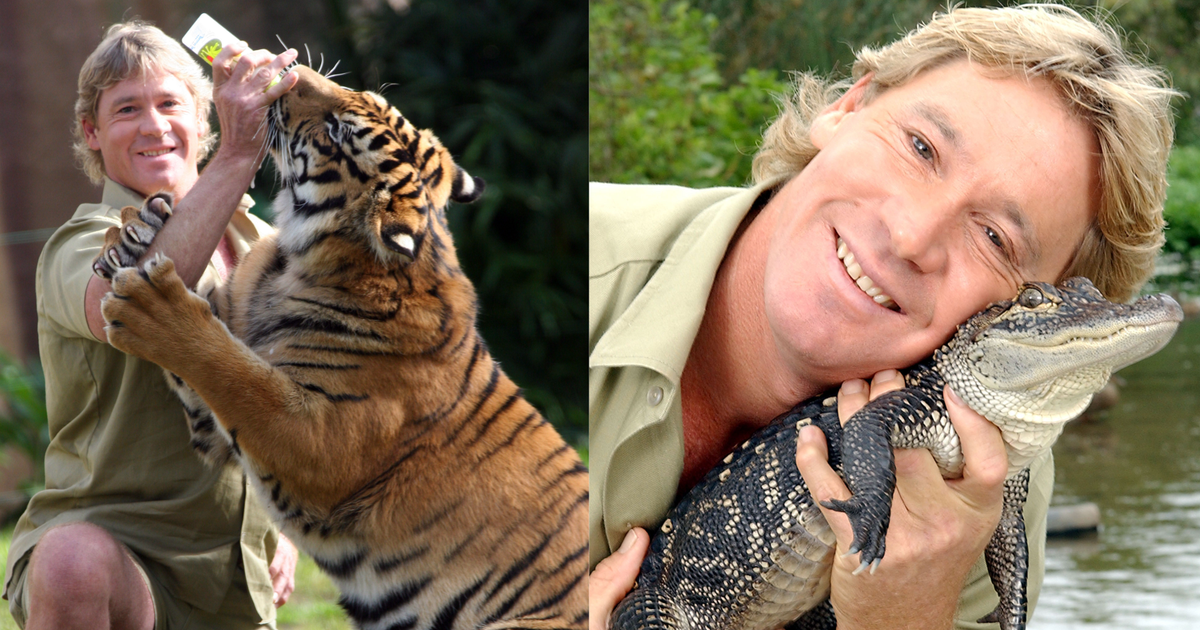 Twenty years since Steve Irwin’s death, the Crocodile Hunter still inspires the world