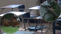Mantua public schools closed Wednesday after storms ravage town