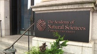 Historic Academy of Natural Sciences museum in Philadelphia to close Sept. 30