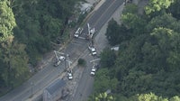 Tree falls onto cars in Bala Cynwyd leaving 1 critical, road closed
