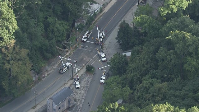 Tree falls onto cars in Bala Cynwyd leaving 1 critical, road closed