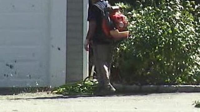 Lower Merion gas leaf blower ban: hundreds of complaints, fines, $83K in enforcement costs